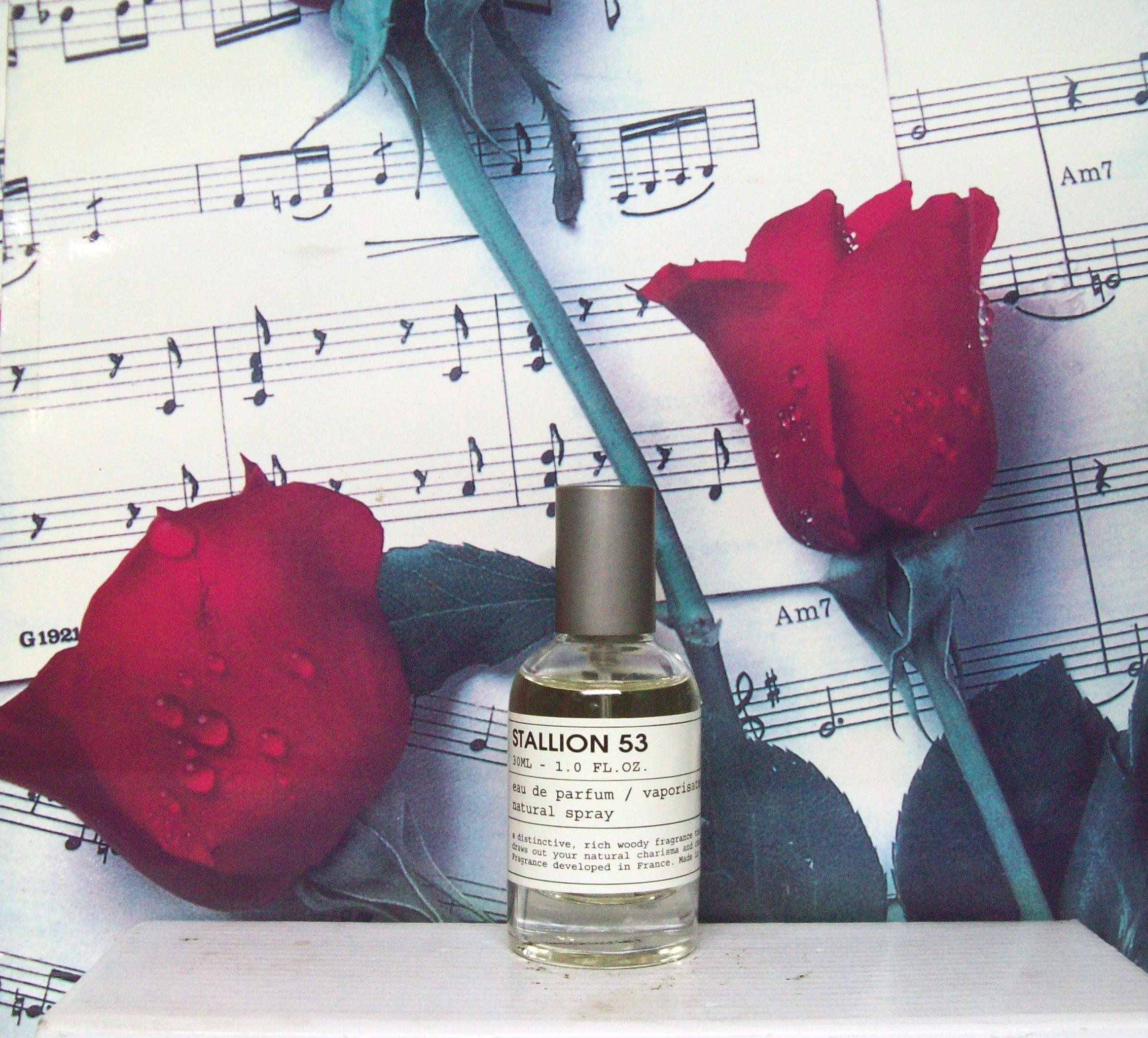 Stallion 53 EDP Spray by Emper – front view