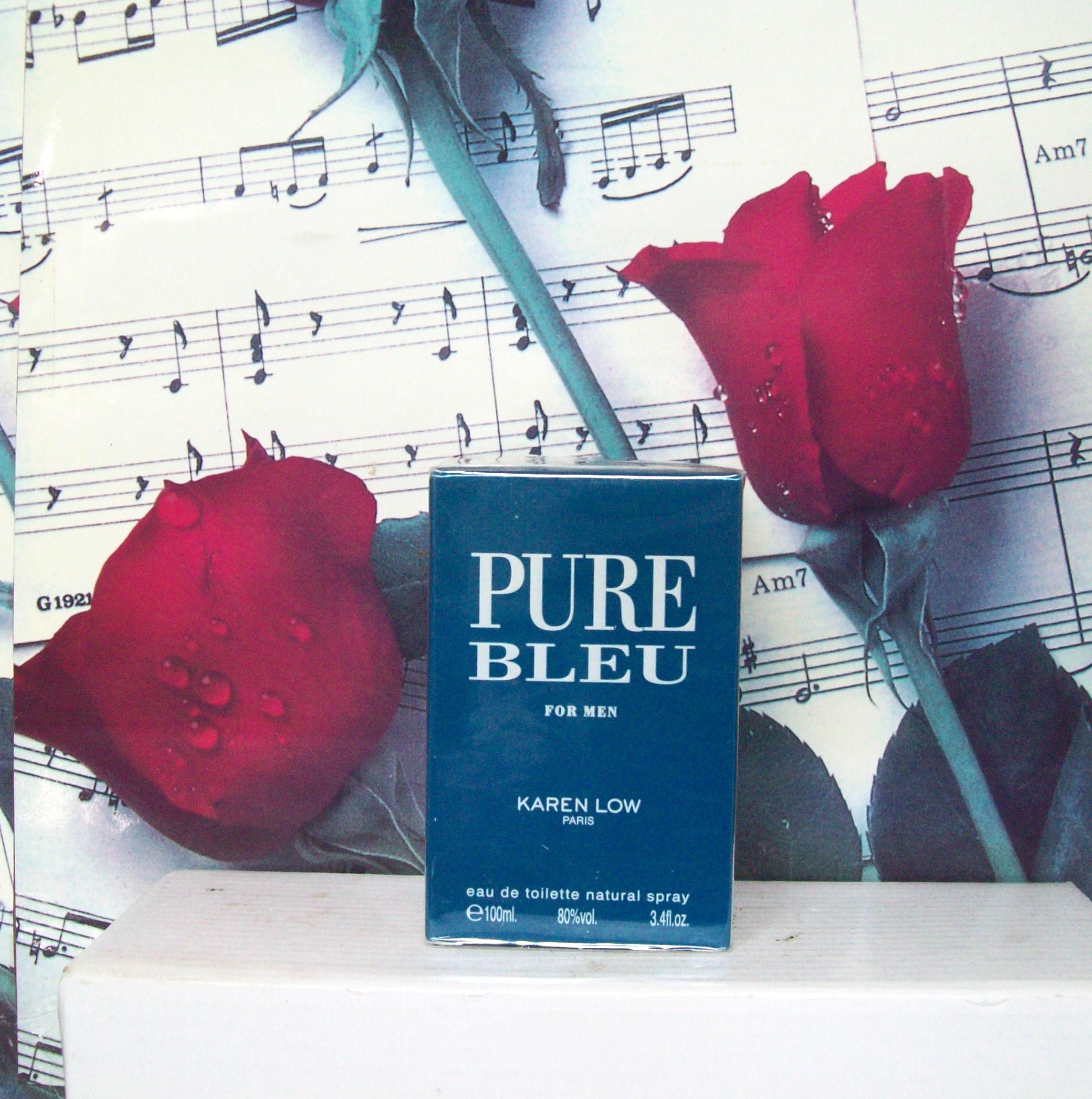 Pure Bleu For Men By Karen Low 3.4 OZ EDT Spray bottle